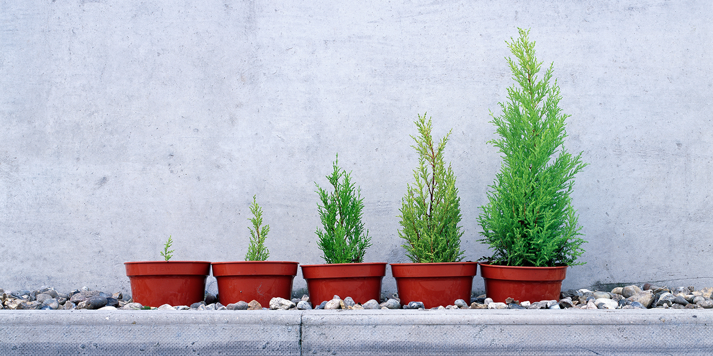 Der Spring Framework Anfängerleitfaden: Funktionen, Architektur und Einstieg