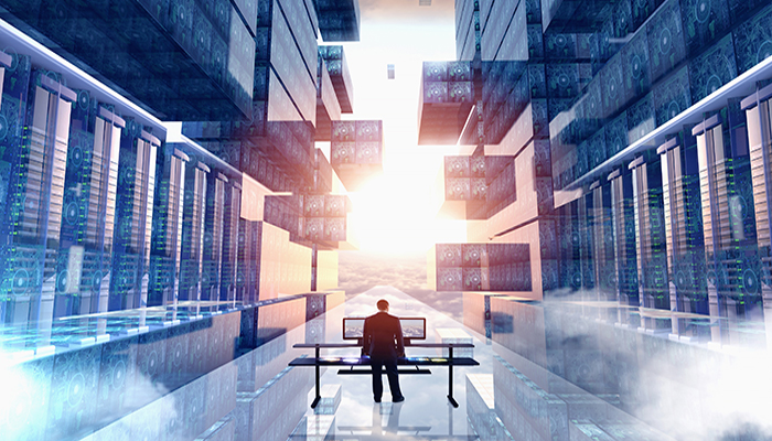 Der IT-Infrastrukturmanager: Rollen und Verantwortlichkeiten
