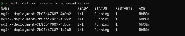 Webserver