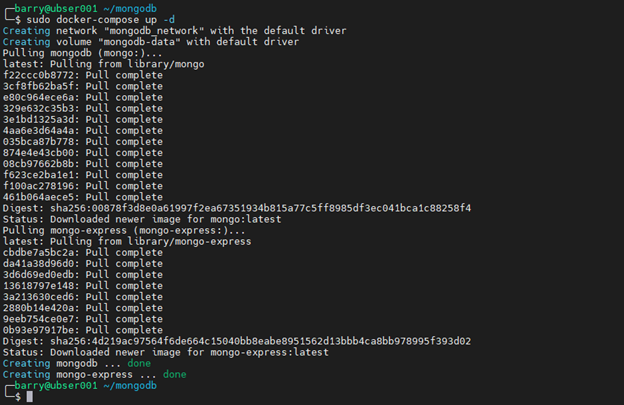 MongoDB Docker 9.1 – erweiterte Container-Einrichtung