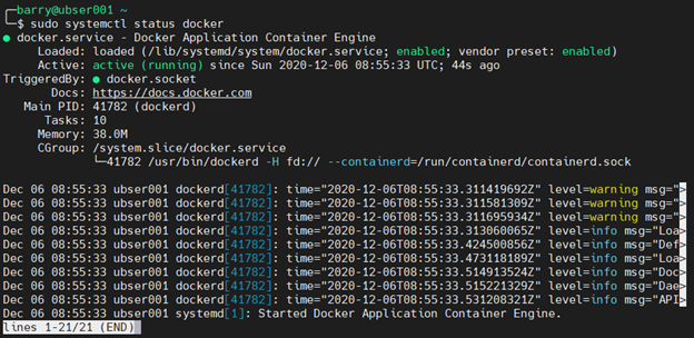 MongoDB Docker 1.8 – Statusprüfung der Docker-Installation