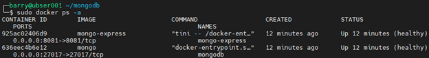 MongoDB Docker 9.2 – PS-Befehl
