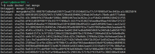 MongoDB Docker 7.1 – Mongo-Image entfernen