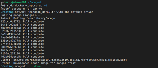MongoDB Docker 4.4 – Start des MongoDB-Containers