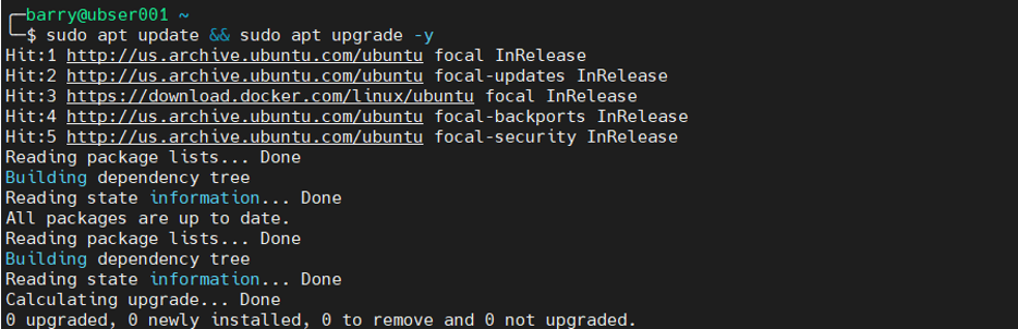 MongoDB Docker 1.1 – bestehende Pakete aktualisieren