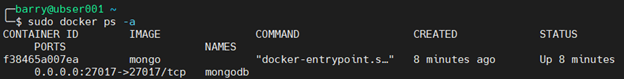 MongoDB Docker 4.5 – Docker-Container überprüfen