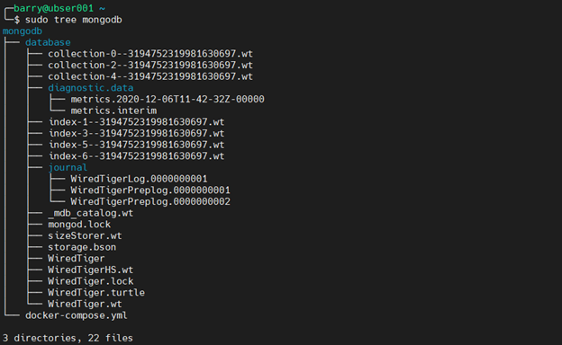 MongoDB Docker 4.6 – Verifiziere MongoDb-Container