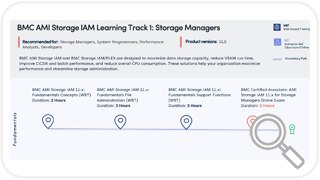 Learning Path for BMC AMI Storage Performance