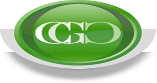 CCG Consultores SRL